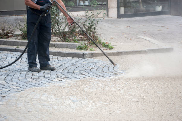 Best Roof Cleaning and Mildew Removal in Hamilton, TX